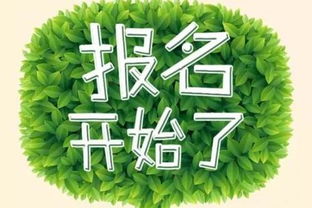 鄂爾多斯市殘疾人手工藝品DIY培訓班開始報名了