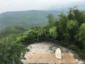 老驥伏櫪 志在千里 君威伴我游宜興